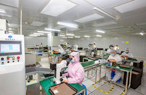 奮進(jìn)在春光里 電子信息產(chǎn)業(yè)滿園春色，信息技術(shù)咨詢服務(wù)賦能向海圖強(qiáng)